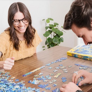popular jigsaw puzzle themes