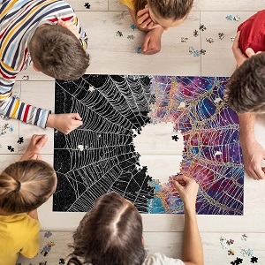 choose the right puzzle