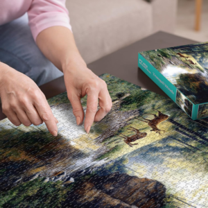 themed puzzle collections