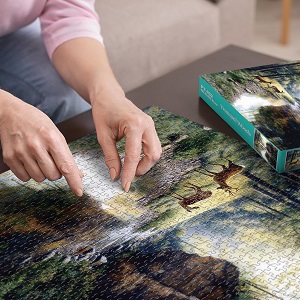 themed puzzle collections